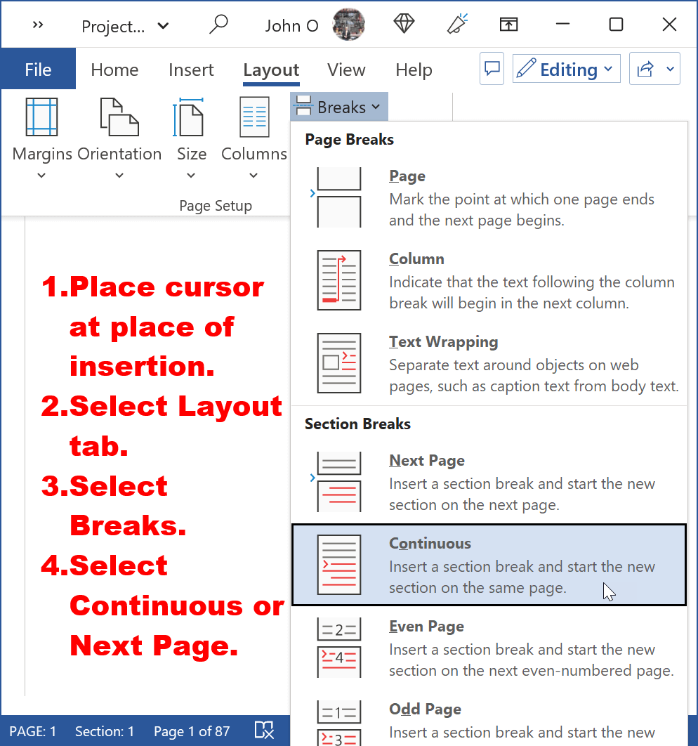 Instructions to insert a section break at the end of the title page.